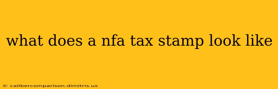 what does a nfa tax stamp look like