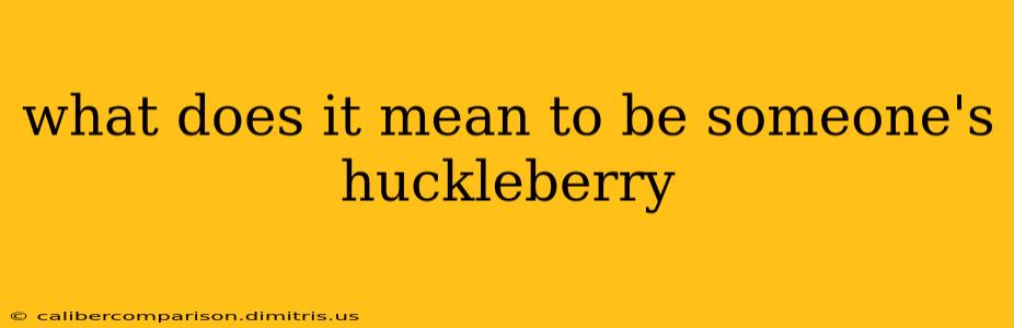 what does it mean to be someone's huckleberry