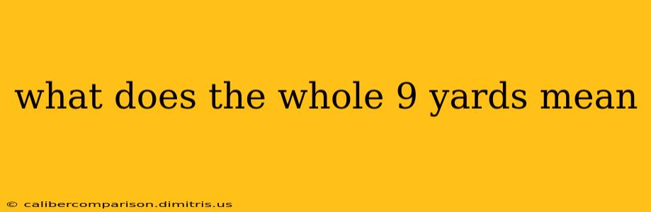 what does the whole 9 yards mean