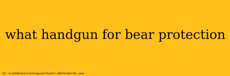 what handgun for bear protection