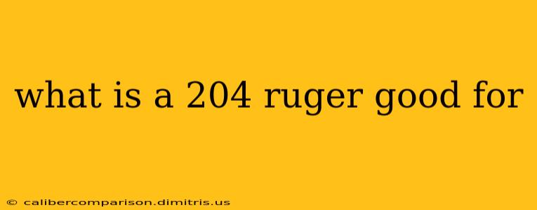 what is a 204 ruger good for