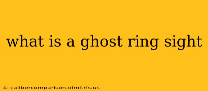 what is a ghost ring sight