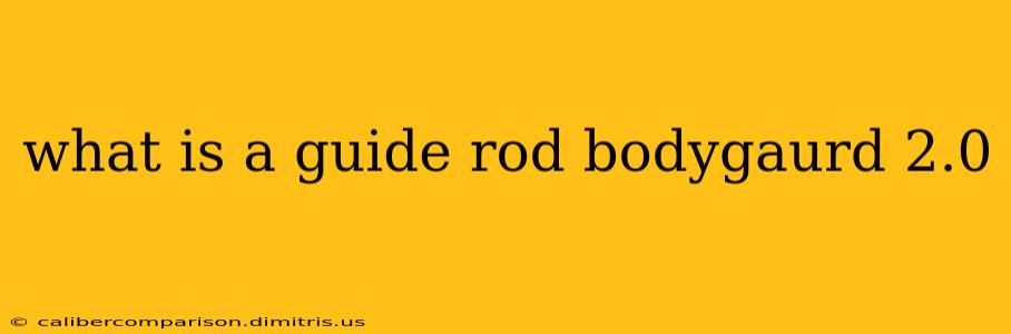 what is a guide rod bodygaurd 2.0