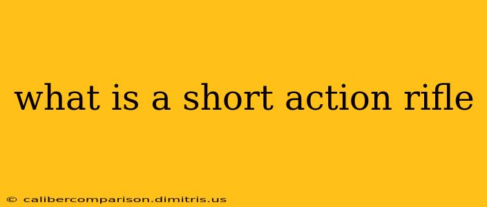 what is a short action rifle