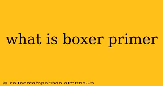 what is boxer primer