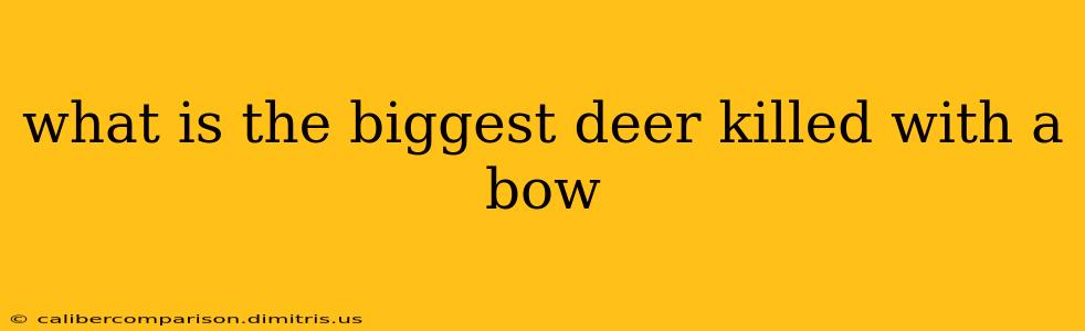 what is the biggest deer killed with a bow