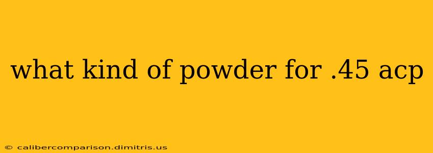 what kind of powder for .45 acp