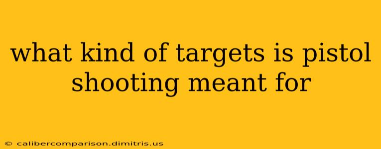 what kind of targets is pistol shooting meant for