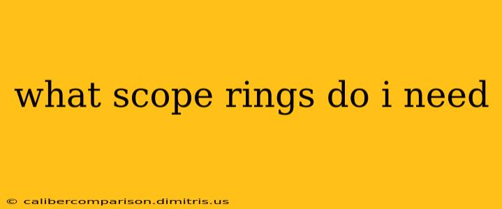 what scope rings do i need