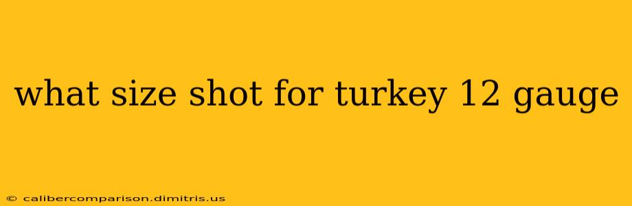 what size shot for turkey 12 gauge