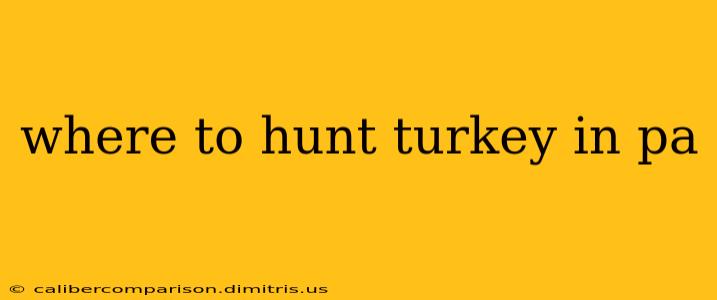 where to hunt turkey in pa