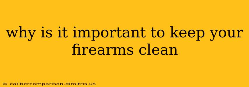 why is it important to keep your firearms clean