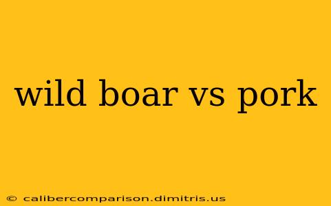 wild boar vs pork