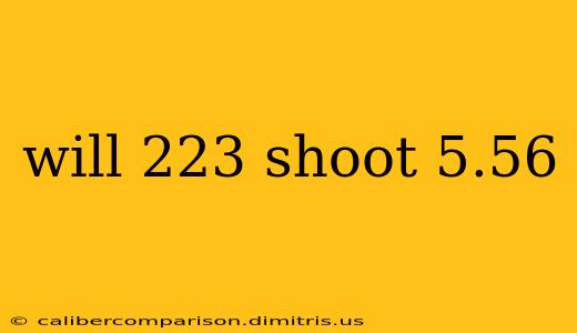 will 223 shoot 5.56