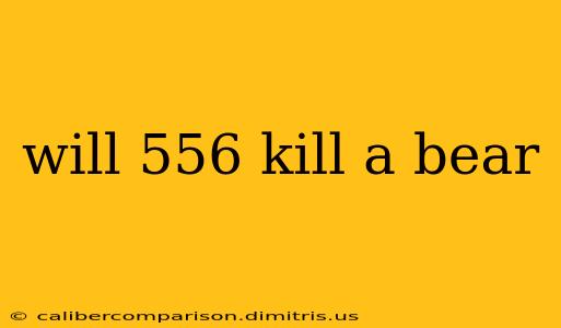 will 556 kill a bear