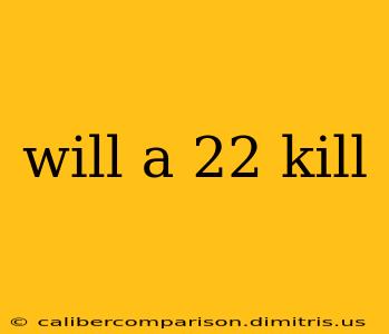 will a 22 kill