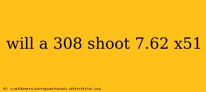 will a 308 shoot 7.62 x51