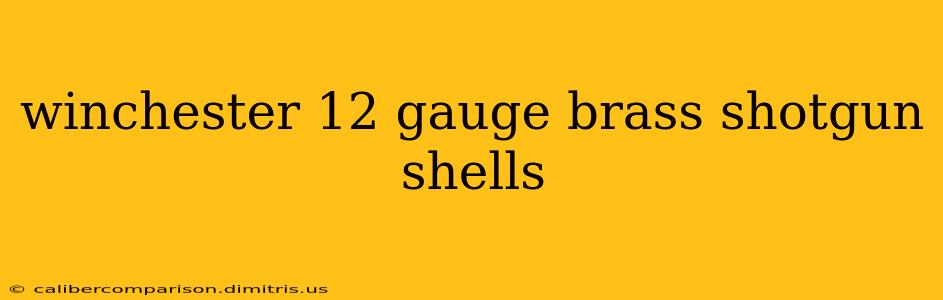 winchester 12 gauge brass shotgun shells