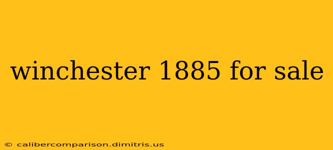 winchester 1885 for sale