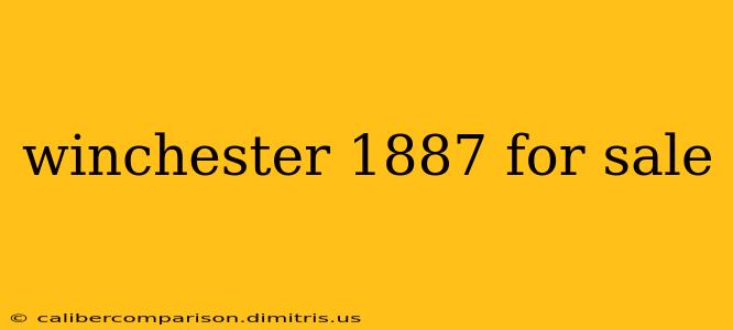 winchester 1887 for sale