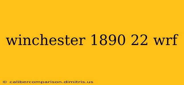 winchester 1890 22 wrf