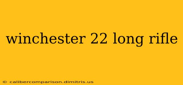 winchester 22 long rifle