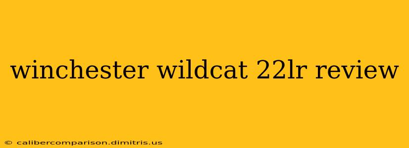 winchester wildcat 22lr review