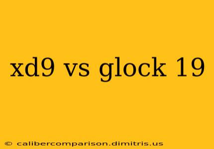 xd9 vs glock 19